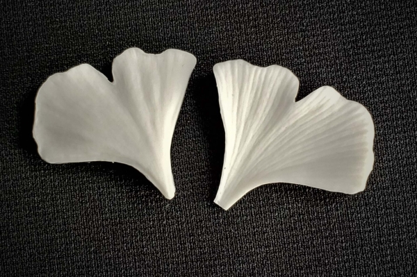 Ginkgo Leaf Veiner Small By Simply Nature Botanically Correct Products®